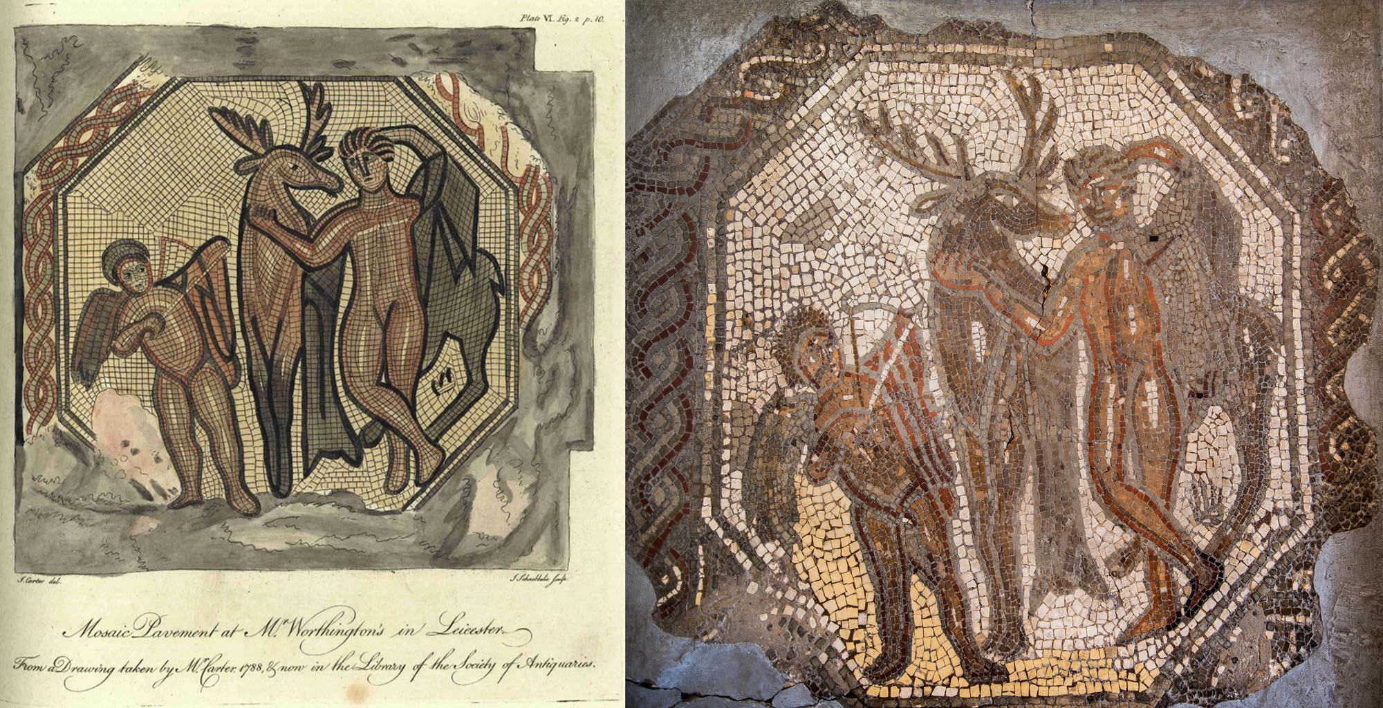Left, An early drawing of the Cyparissus mosaic by S. Carter in 1788. Right, The Cyparissus mosaic, found on Highcross Street in Leicester in c.1675. The mosaic is one of the earliest recorded mosaics in Britain -