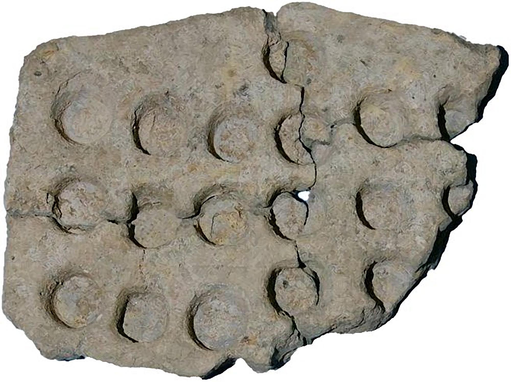 Part of an Iron Age clay tray used to melt metal in order to create blanks for making coins, found at Bath Lane - University of Leicester Archaeological Services