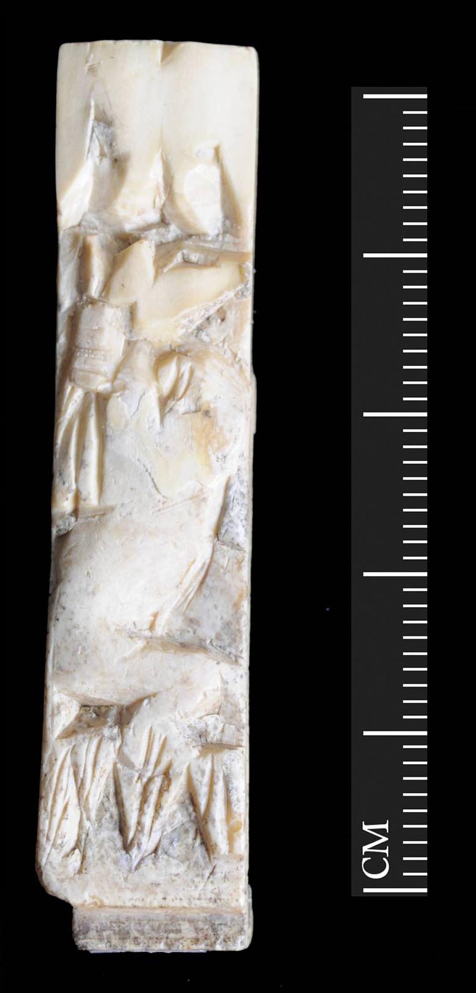 A small rectangular ivory panel from a Romano-Egyptian relief-carved box. The panel depicts the Egyptian god Anubis squatting amongs lotus flowers and grasping a lance in his right hand. Found at Vine Street - University of Leicester Archaeological Services