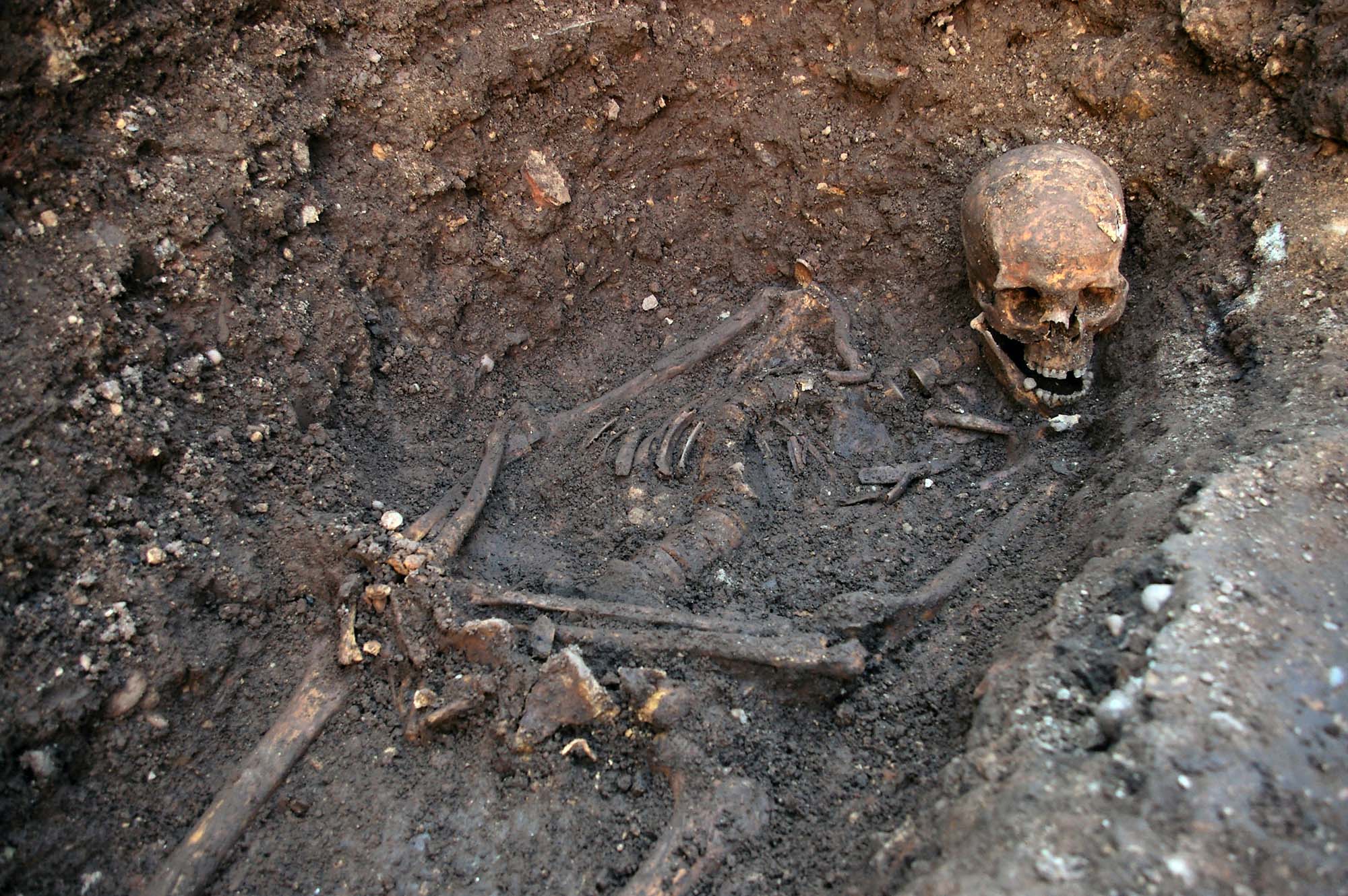 Richard III’s remains in situ in his grave shortly after their discovery in 2012 - University of Leicester