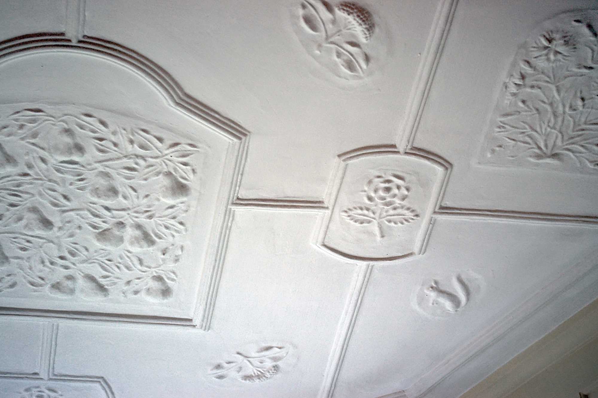 A white plaster ceiling at The White House in Leicester, featuring intricate floral and nature-inspired relief designs, including a rose motif and a small animal figure. - Leicester Mercury / Chris Gordon.